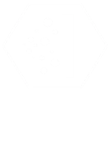 Polen Filtre