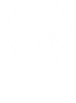 Ionizer