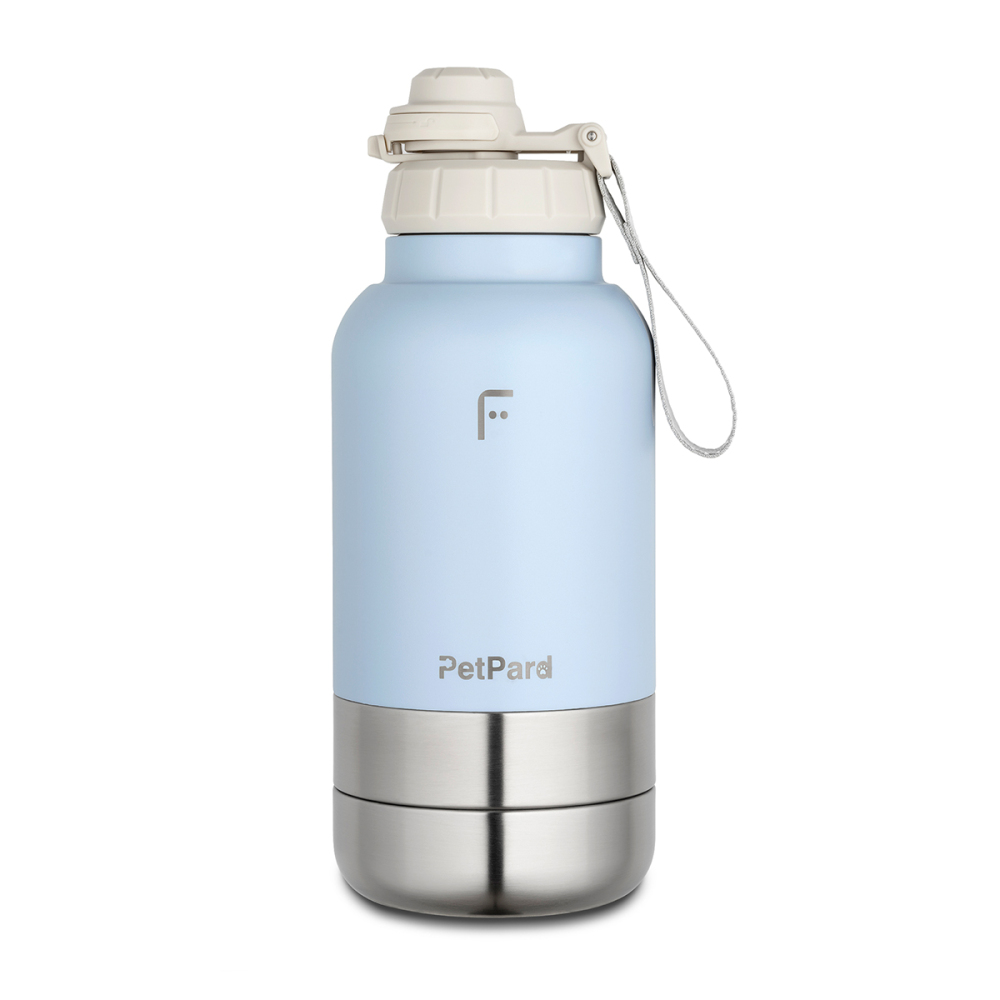 PetPard 3 in 1 Kedi & Köpek Mama Kapları ve Paslanmaz Çelik Termos, 1 Litre, Mavi - 1